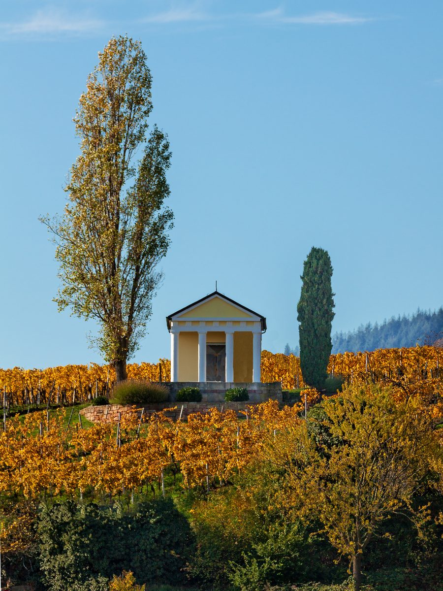 Rifugio tra i vigneti sull’Heiligenberg presso Maikammer in Renania-Palatinato