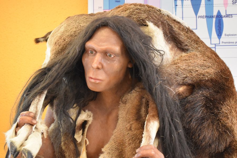Manichino del cosiddetto uomo di Tautavel