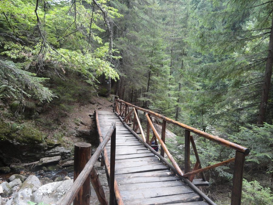 Canyon con cascate e sentiero ecologico sui Monti Rodopi vicino a Smolyan, Bulgaria