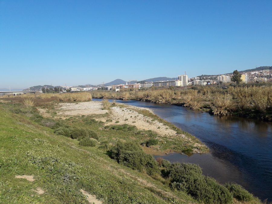Il Llobregat tra Sant Vicenç dels Horts e Molins de Rei