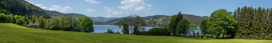 Prato lacustre al Titisee con il Feldberg sullo sfondo