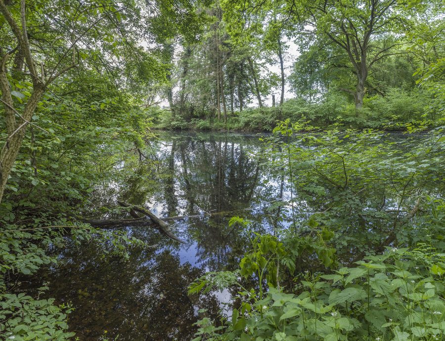 Altmaar nel Sennfelder Seenkranz presso Sennfeld