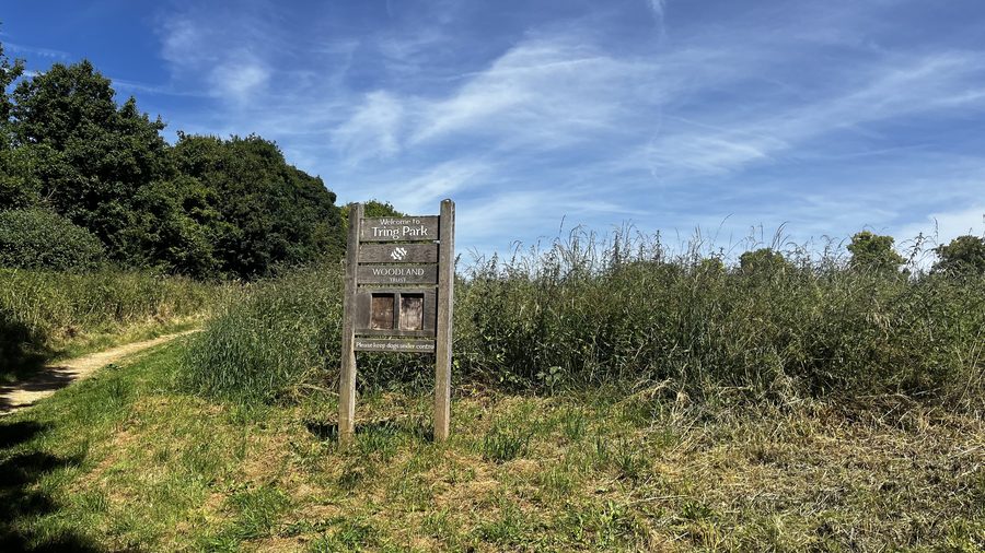 Paesaggio aperto a Tring Park vicino a Hastoe Lane