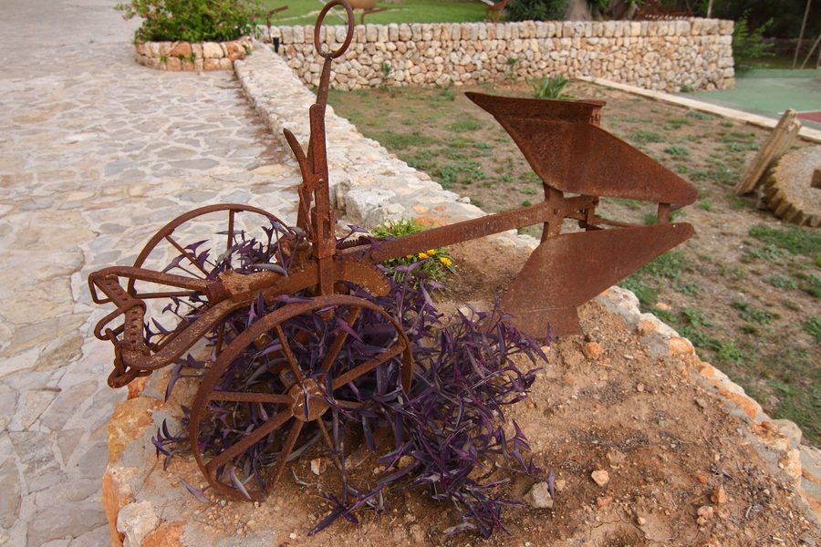Aratro storico nel rurale Ruberts presso Sencelles a Maiorca