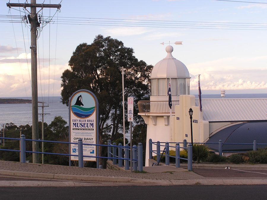 Eden Killer Whale Museum con lo scheletro di Old Tom