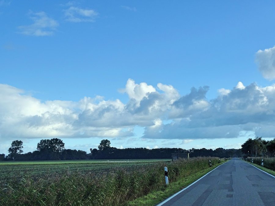 Paesaggio costiero nel Wangerland con marcia, saliceti e argine del Mare del Nord