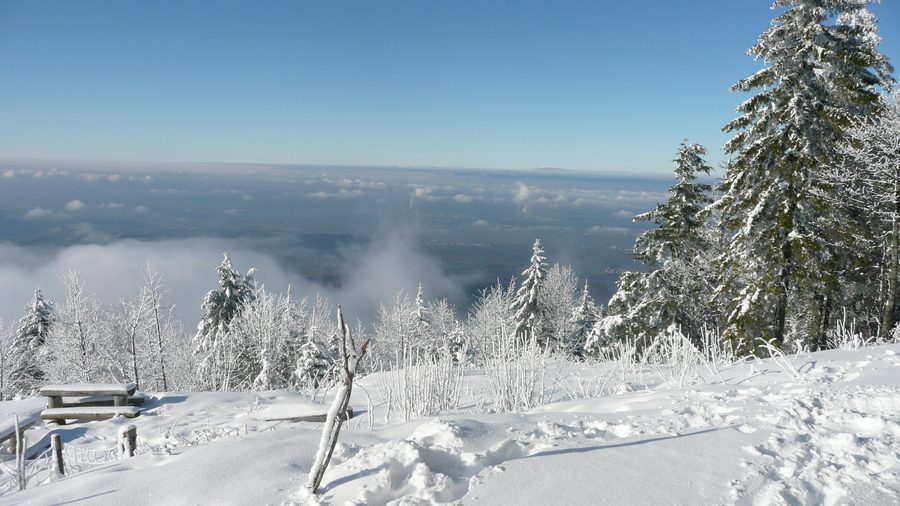 Monte Hochblauen nella Foresta Nera presso Badenweiler