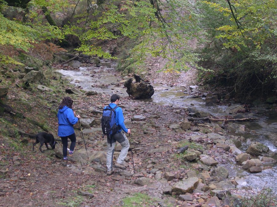 Paesaggio nel Parco di Gorbeia nei Paesi Baschi