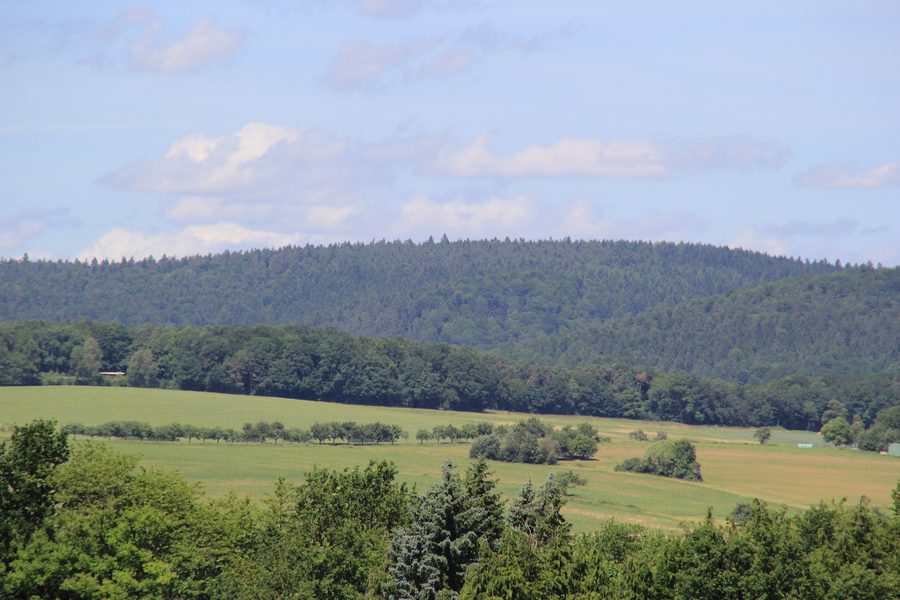 Vista del Glasberg presso Linsengericht da Schöllkrippen