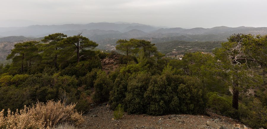 Ampia vista sulle boscose dorsali montuose dei monti Troodos a Cipro.
