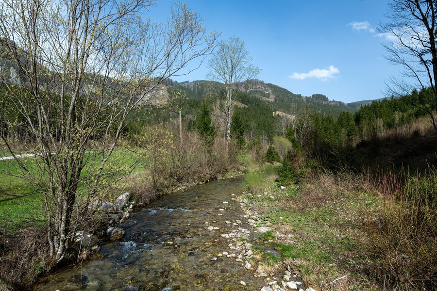 Angerbach nella località sparsa di Erlaufboden