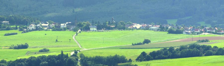 Paesaggio boscoso presso Daxweiler nel Soonwald-Hunsrück