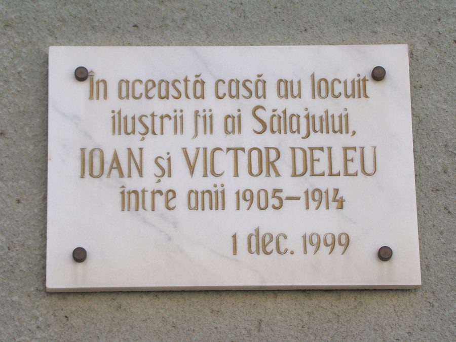 Șimleu Silvaniei, contea di Sălaj, Romania
