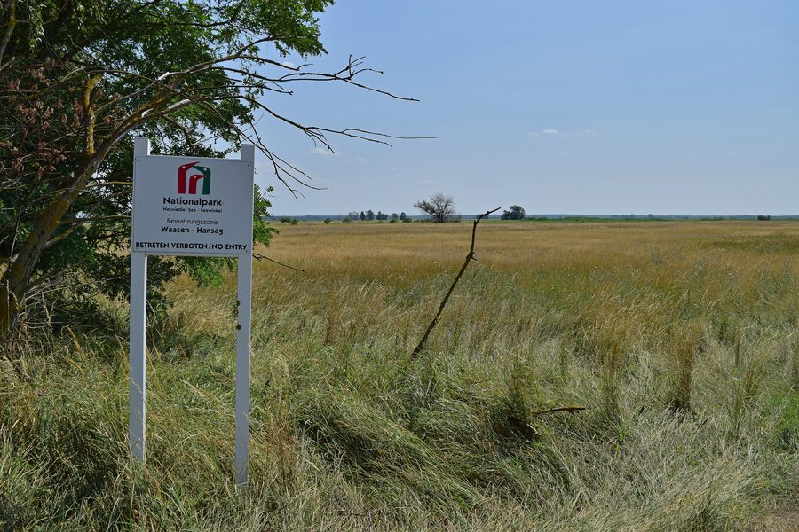 Paesaggio aperto della zona di tutela Waasen-Hanság nel Parco Nazionale Neusiedler See–Seewinkel