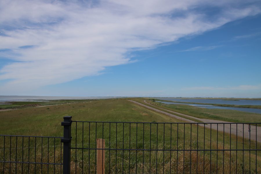 Vista dall’argine del Rickelsbüller Koog oltre la recinzione anti-cinghiali verso la Danimarca