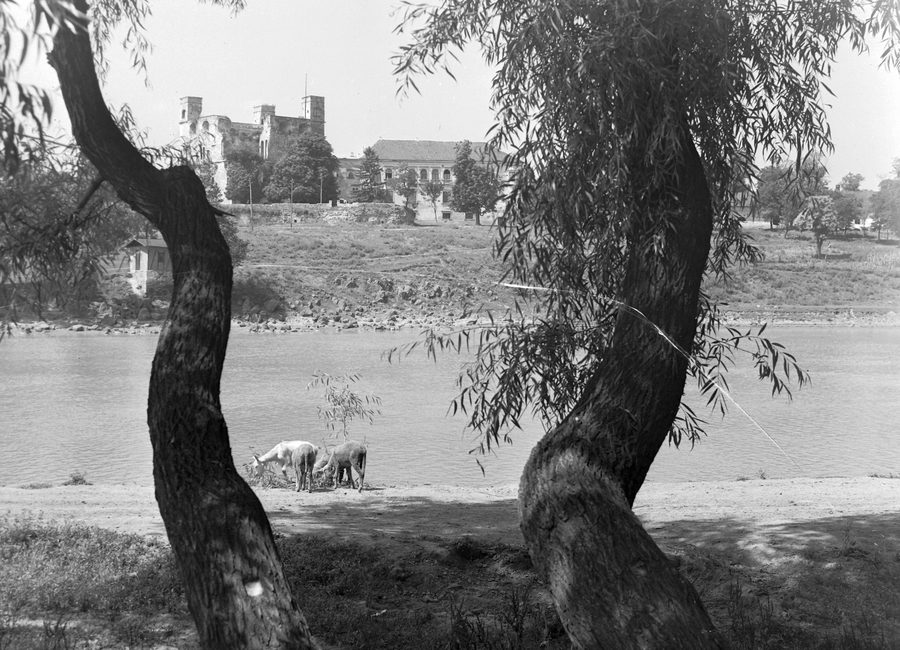Vista di Sárospatak dalla riva sinistra del Bodrog, con il Castello Rákóczi visibile