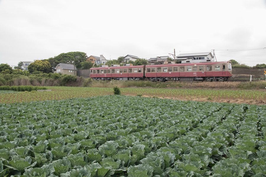 Treno della Chōshi Electric Railway a Chōshi