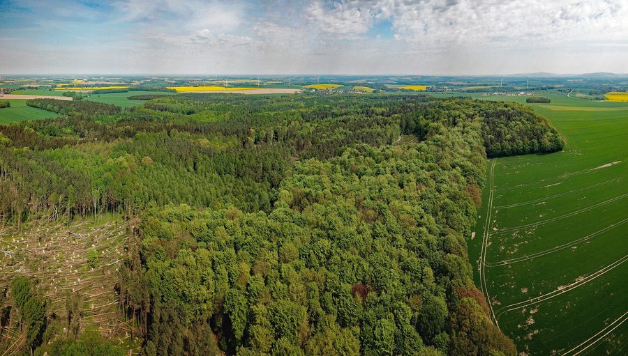 Veduta aerea del Taucherwald presso Burkau in Sassonia