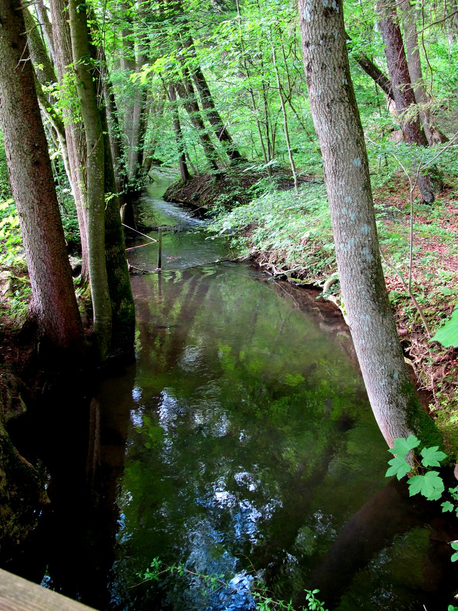 Paesaggio nella protetta Kupferbachtal presso Glonn