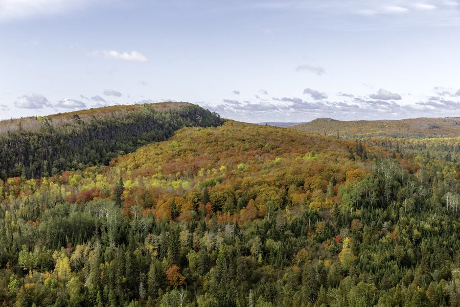 Fogliame autunnale sul Leveaux Mountain presso Tofte nel Minnesota