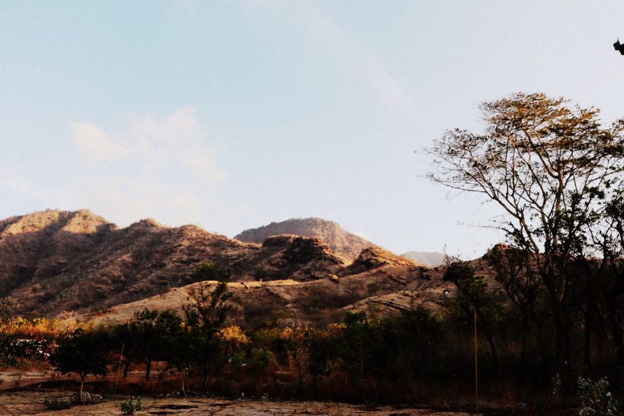 Paesaggio di savana collinare nelle aree di conservazione del Parco nazionale di West Bali, Buleleng, Bali