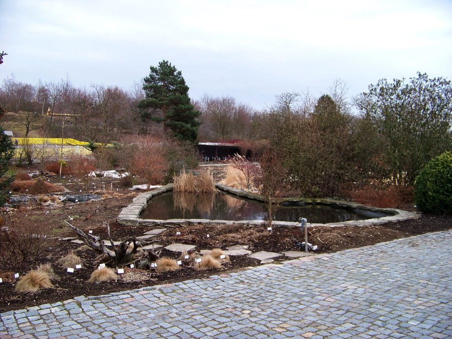 Laghetto nel giardino botanico di Teplice