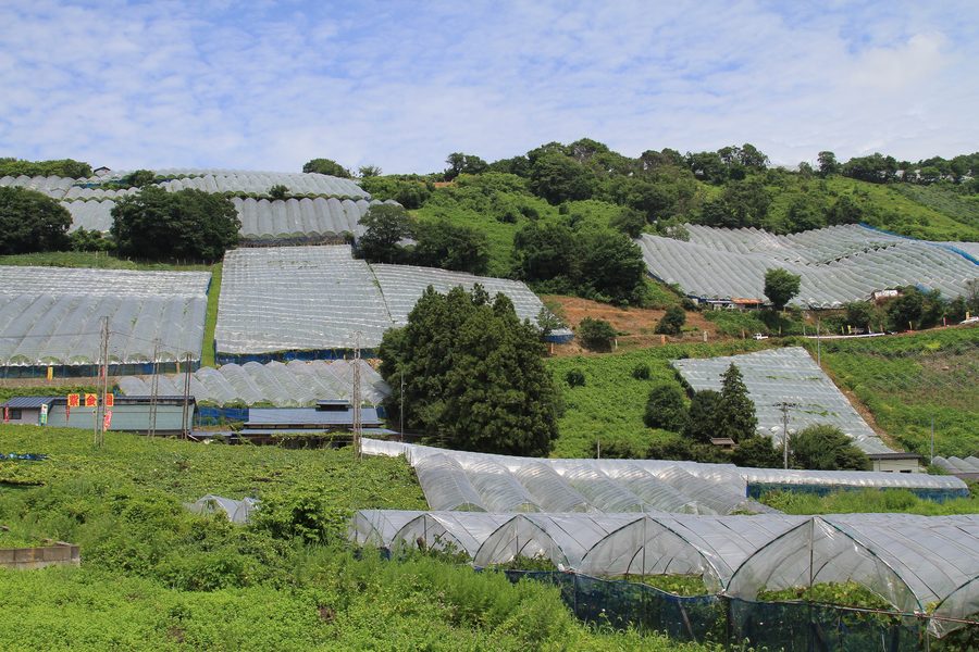 Paesaggio rurale presso Akayu a Nan'yō, prefettura di Yamagata