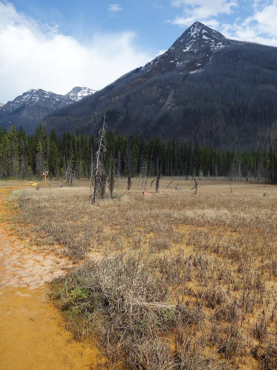 Sorgenti minerali Paint Pots nel Parco nazionale Kootenay