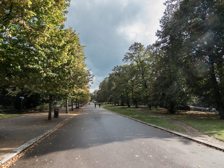 Viale alberato a Victoria Park a Hackney, Londra