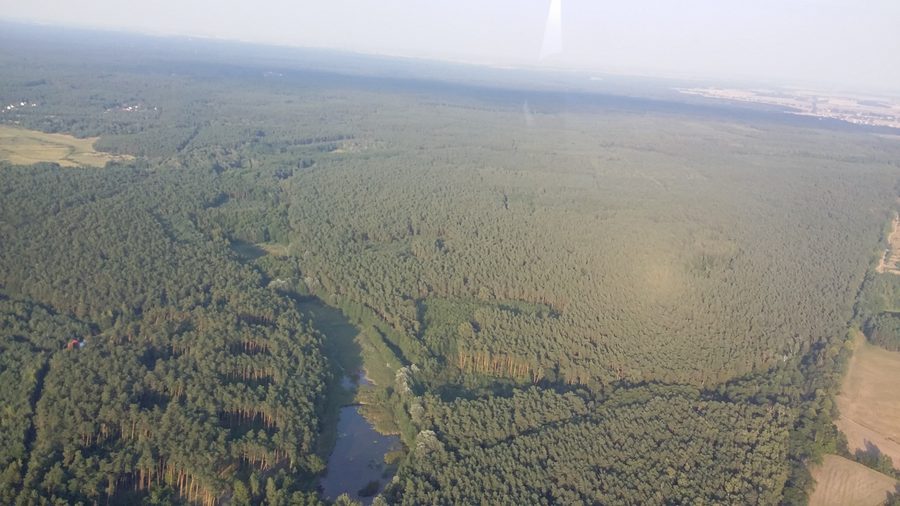 Vista aerea della Puszcza Zielonka vicino a Bolechówko