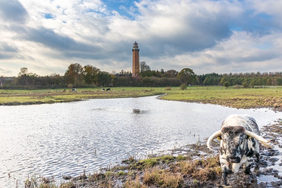 Faro di Neuland sulla costa del Mar Baltico presso Behrensdorf