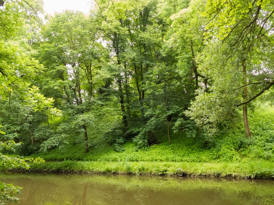 L’Oker presso il Kreißberg a Braunschweig, circondata da un paesaggio verde