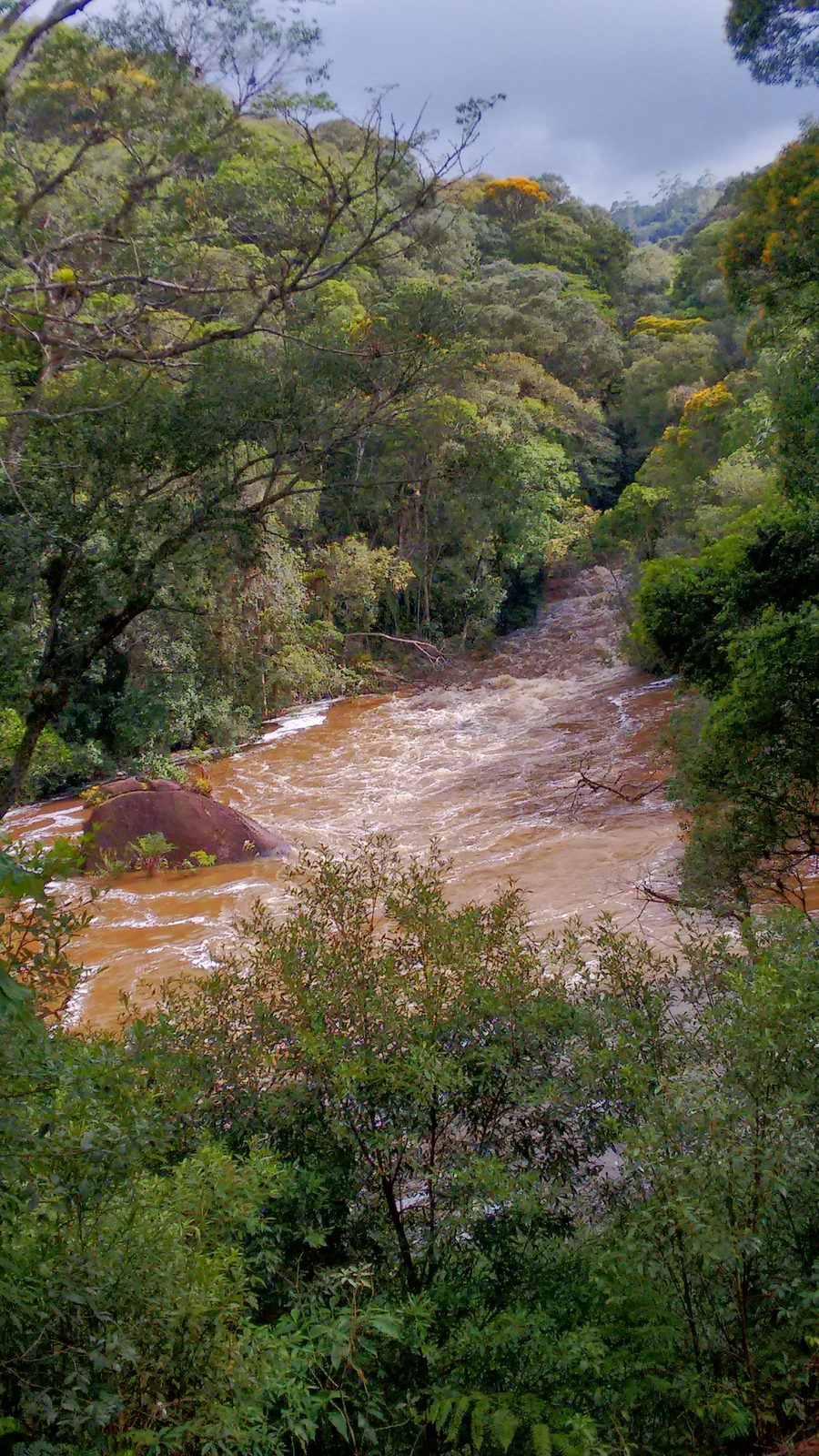 Rio Juquiá, situato nel comune di Juquitiba, San Paolo, durante il periodo delle piogge