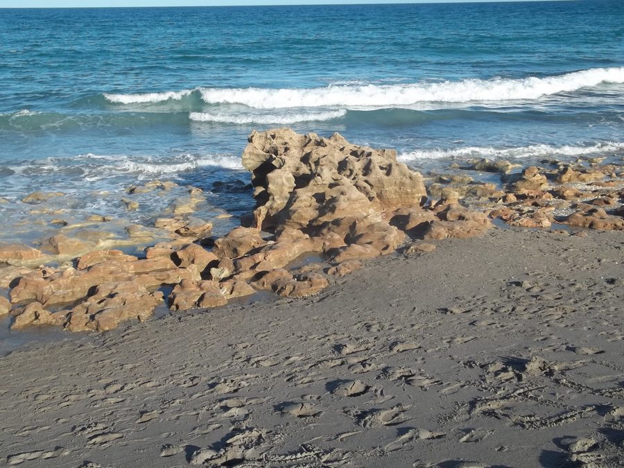 Spiaggia al Coral Cove Park a Giove, Florida