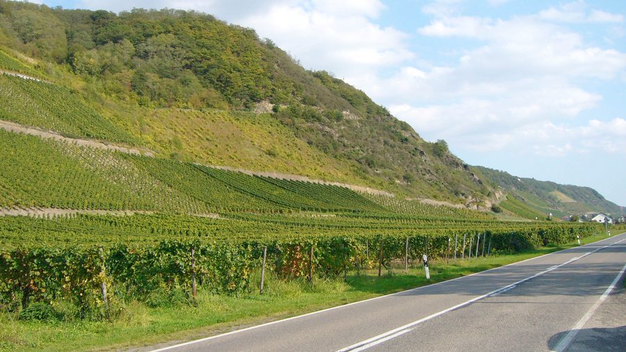 Vigneti presso Leutesdorf sul Reno