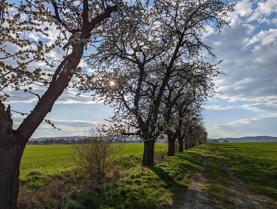 Paesaggio primaverile nello Solling vicino a Uslar