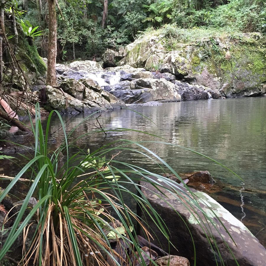 Pozze rocciose inferiori di Gwongoorool sul fiume Nerang nel Parco nazionale di Springbrook nell’entroterra della Gold Coast
