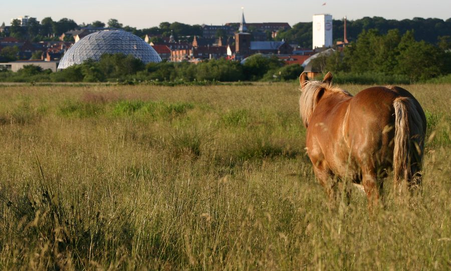 Randers Regnskov con le grandi cupole dello zoo tropicale