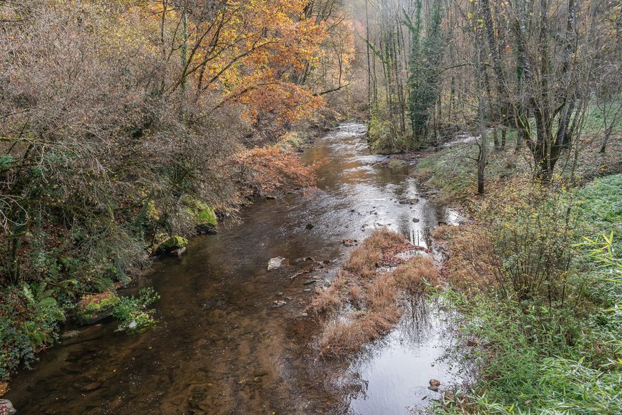 Fiume Viaur a Moulin d'Ayres, tra Centrès e Sainte-Juliette-sur-Viaur, Aveyron, Francia