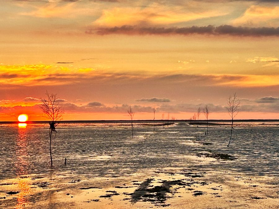 Tramonto sul Mare di Wadden danese