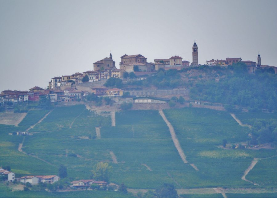Paesaggio delle Langhe tra Monforte d'Alba e La Morra in Piemonte, Italia