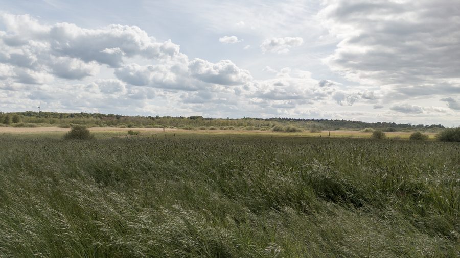 Paesaggio nella valle della Recknitz e della Trebel presso Ahrenshagen-Daskow