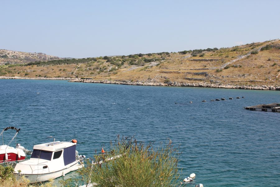 Paesaggio costiero nel comune di Rogoznica, Croazia