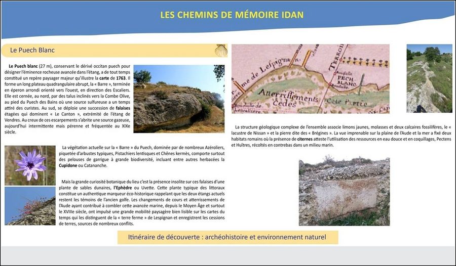 Ambiente naturale di Lespignan con il Puech Blanc e la sua barra
