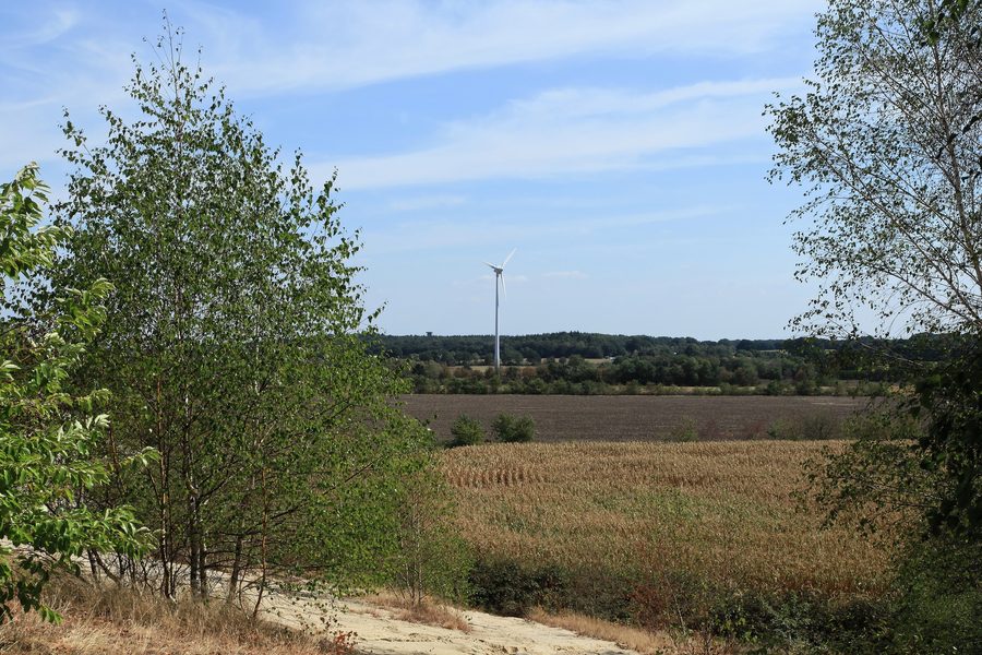 Vista dal Sandberg verso Surwolds Wald lungo la Neubörgerstraße a Surwold