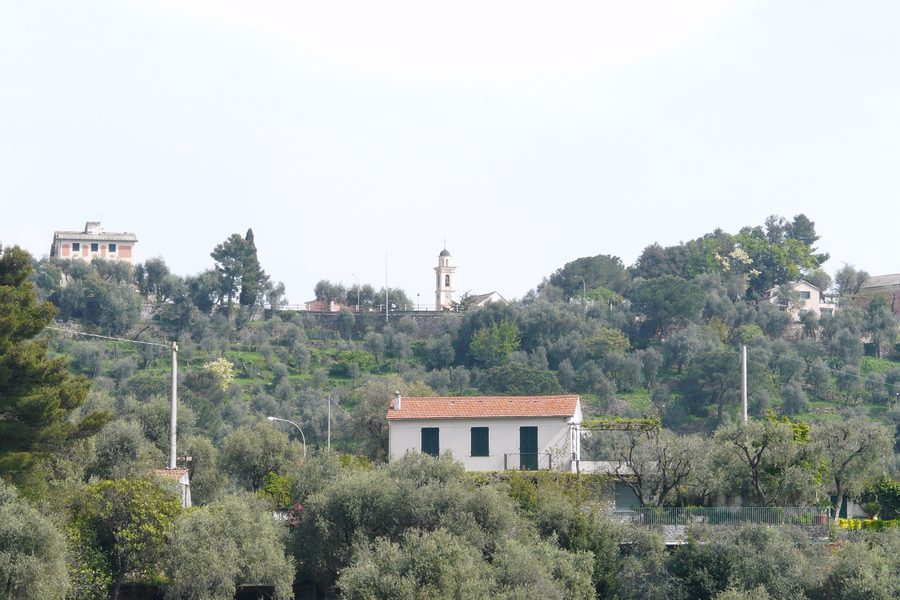 San Pantaleo, Zoagli, Liguria, Italia