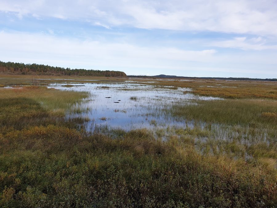 Vista dalla torre panoramica sul Kävsjön nel Parco nazionale di Store Mosse