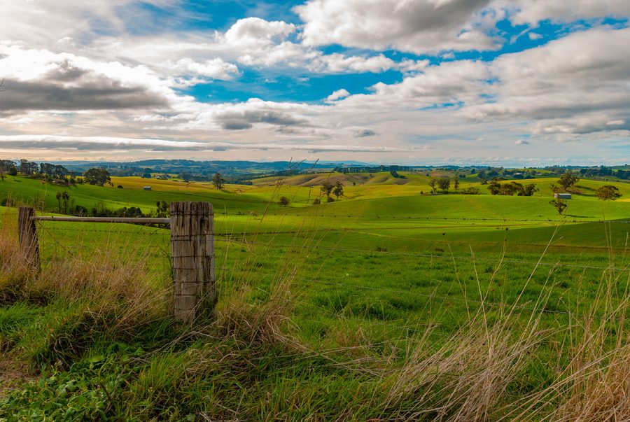 Vista su terreni agricoli collinari verso le Strzelecki Ranges presso Mirboo North