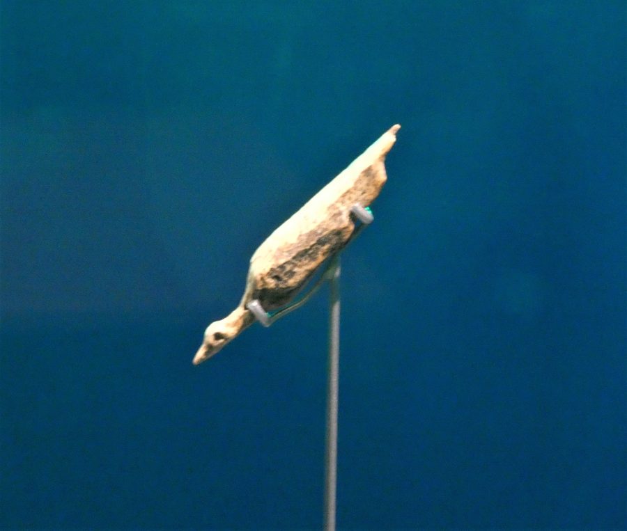 Uccello acquatico in avorio di mammut dall’Hohle Fels presso Schelklingen