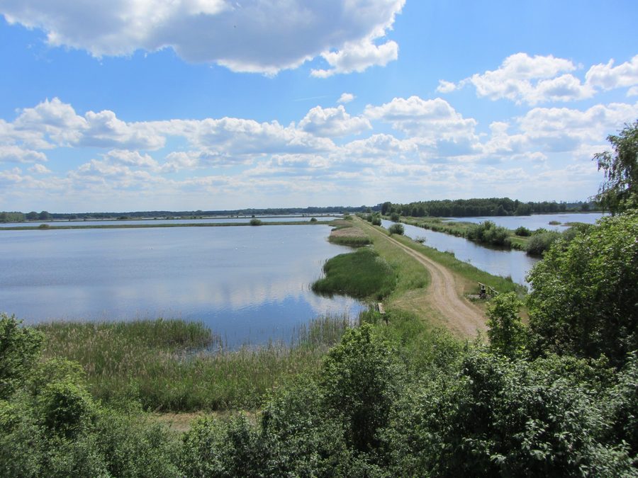 Vista degli stagni e della via d’acqua Müritz-Elde nella Lewitz presso Neustadt-Glewe